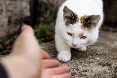 5 Contoh Kompetisi dalam Kebaikan yang Harus Ditiru