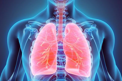 8 Cara Alami Membersihkan Paru-paru