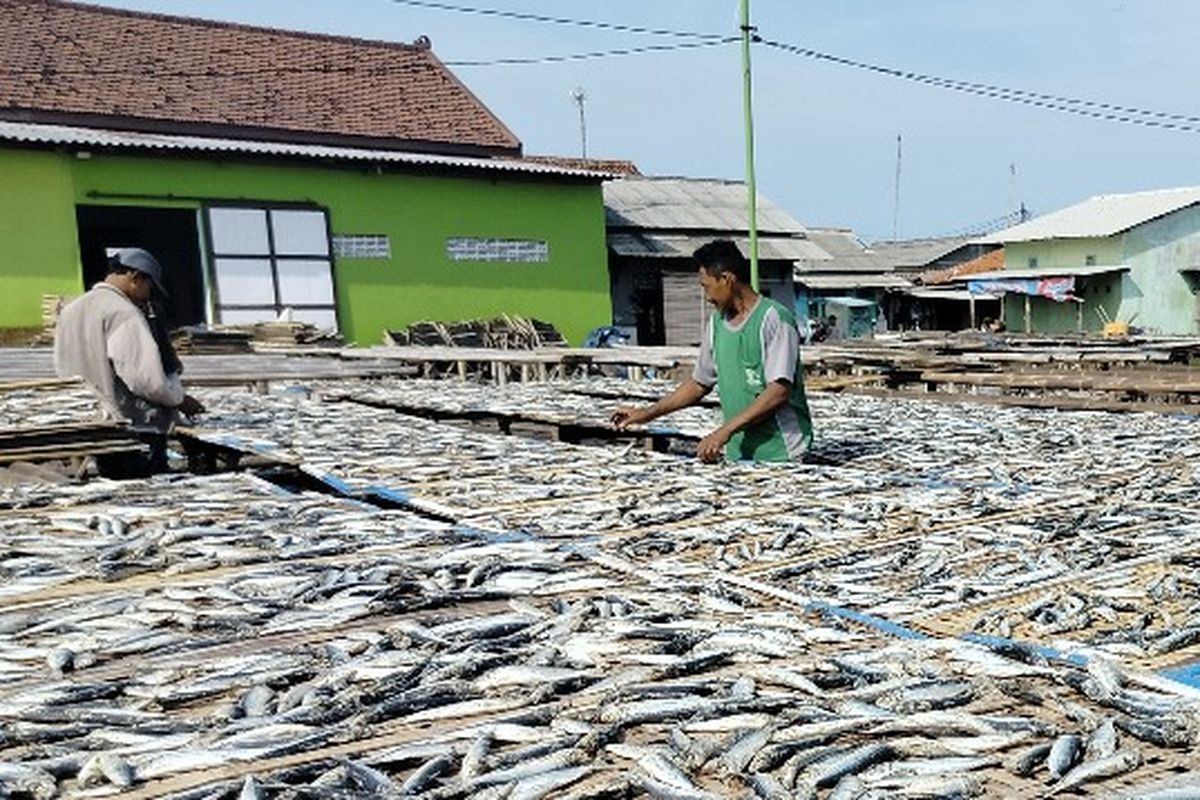 Perajin ikan asin di Blok J Pelabuhan Jongor, Tegalsari, Tegal Barat, Kota Tegal, Jawa Tengah sedang menjemur ikan asin, Senin (16/1/2023).