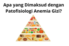 Apa yang Dimaksud dengan Patofisiologi Anemia Gizi?