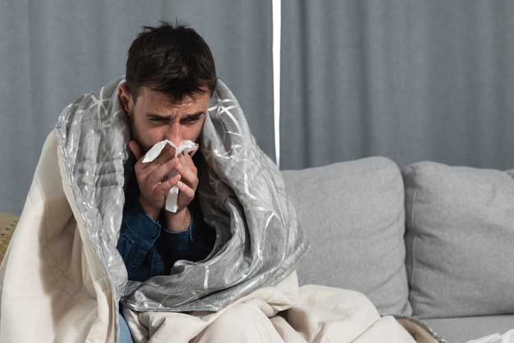 Obat alergi dingin akan menurunkan reaksi alergi yang dirasakan, seperti hidung meler.