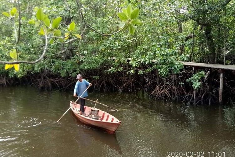 Pulau Pengalap merupakan pulau yang terletak di Kelurahan Pulau Abang, Kecamatan Galang, Batam dengan luas keseluruhan lebih kurang 334 hektar