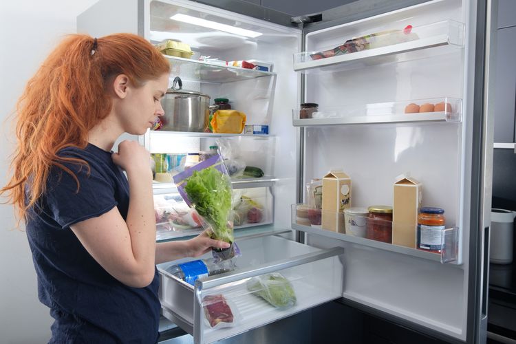 Ilustrasi kulkas, menyimpan makanan di kulkas. 