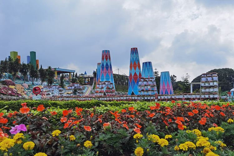 Taman Bunga Celosia Bandungan Tutup Selama Jateng di Rumah Saja