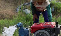 Antisipasi Lahan Pertanian Terendam Banjir, Kementan Siapkan Pompanisasi hingga Asuransi Pertanian 
