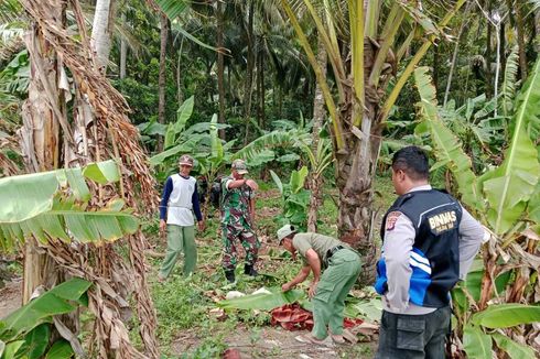 Warga Tasikmalaya Temukan Mayat Tanpa Identitas Mengapung di Pantai