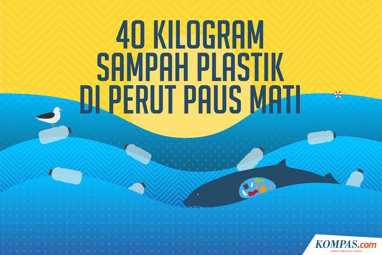 40 Kilogram Sampah Plastik Di Perut Paus Mati