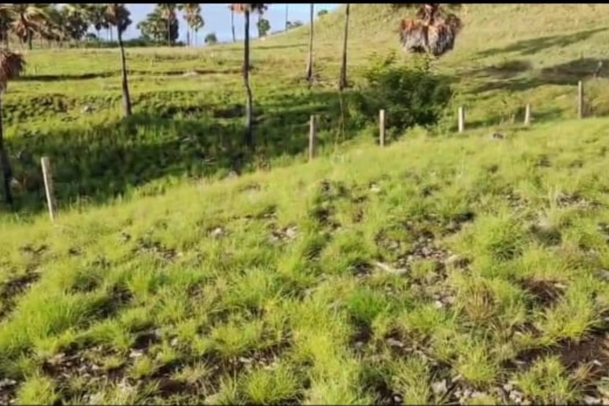 Lokasi tanah Wae Cicu Timur, Kelurahan Labuan Bajo, Kecamatan Komodo, Kabupaten Manggarai Barat, Nusa Tenggara Timur. 