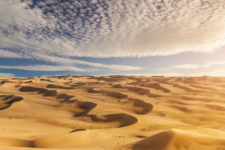 Suhu panas akibat pemanasan global di Bumi, terasa seperti di Gurun Sahara.