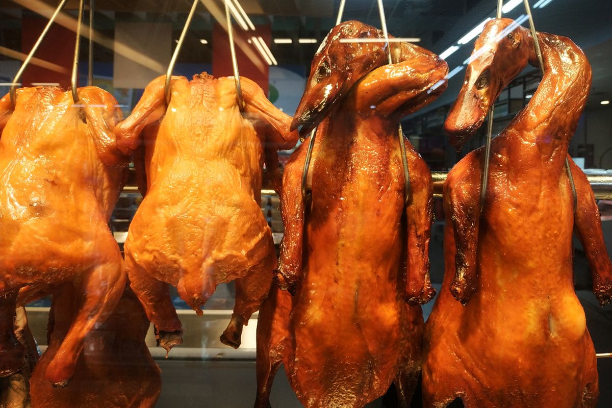 Ilustrasi bebek panggang.