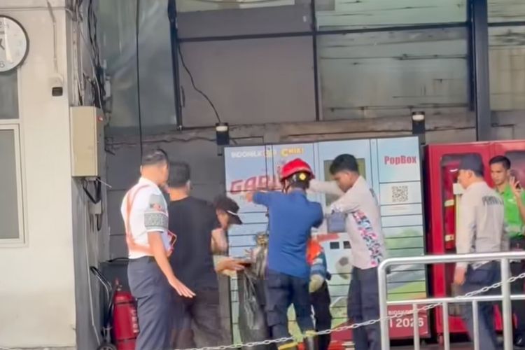Heboh Dua Ular Sanca Muncul di Stasiun Karet Jakpus, Penumpang KRL Sempat Berlarian