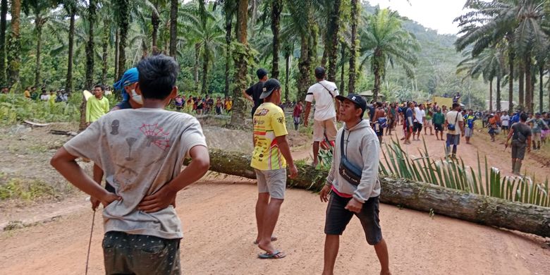 Sejumlah fasilitas perkebunan PT Foresta Lestari Dwikarya di Membalong Belitung yang rusak saat aksi massa, Rabu (16/8/2023). 