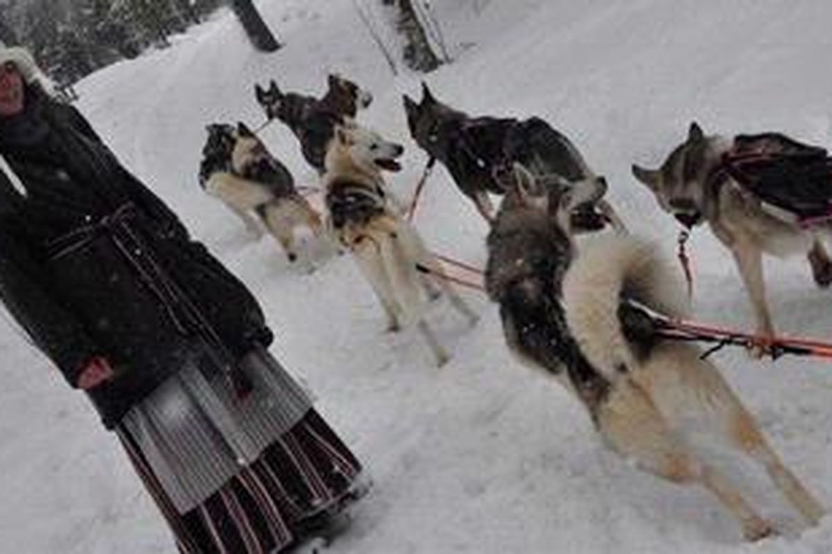 Seorang perempuan menggunakan busana tradisional Sami. Ia merupakan penjaga Siberian Huskies. 