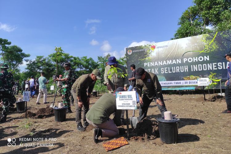 Kementerian Lingkungan Hidup dan Kehutanan (KLHK) bersama aparat Tentara Nasional Indonesia (TNI) menanam 1.500 anak pohon berbagai jenis di Kelurahan Fatukoa, Kecamatan Maulafa, Kota Kupang, Nusa Tenggara Timur (NTT).