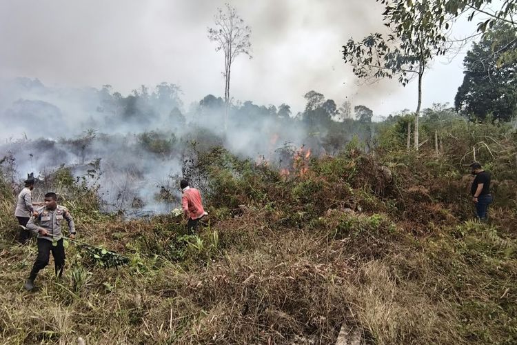 Tiga Hektar Lahan Pinus dan Rumah Warga Hangus Terbakar di Mamasa Sulbar, Berawal dari Bakar Rumput