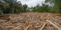 Pakar Geomatika ITS Ungkap dari Mana Munculnya Kayu Gelondongan Pascabanjir Sumatera
