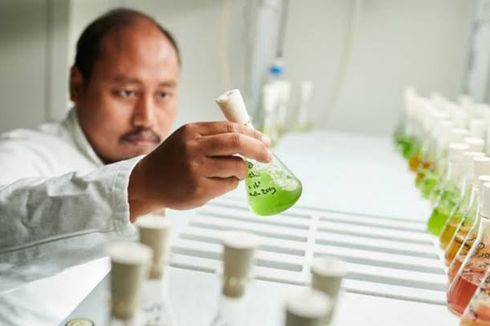Kontribusi Capai NZE, Start-up Agritech Spiralife Optimalkan Potensi Mikroalga untuk Produk Kesehatan
