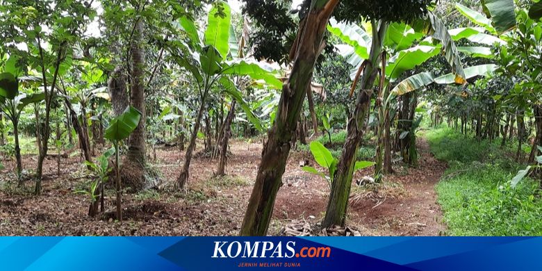 Https Netral News En Lamborghini Made In Gunungkidul Vs Sultan Rolls Royce Ghost Car Html 2021 03 11t01 08 15z Https Awsimages Detik Net Id Api Wm 2021 03 08 Melihat Lebih Dekat Lamborghini Made In Gunungkidul 169 Jpeg Wid 54 W 650 V 1 T