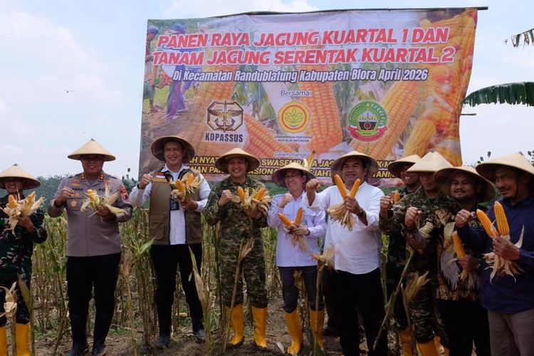 Bulog Komitmen Serap Jagung Blora untuk Pakan dan Bioetanol