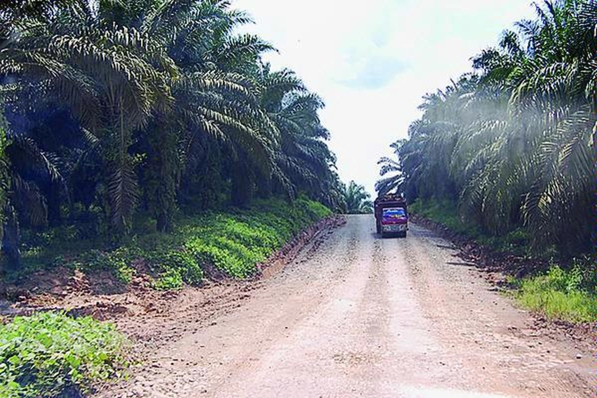 Ilustrasi truk di kebun sawit