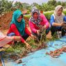 Hadapi Pandemi, APP Sinar Mas Ajak Desa Tingkatkan Produksi Jahe Merah dan Madu
