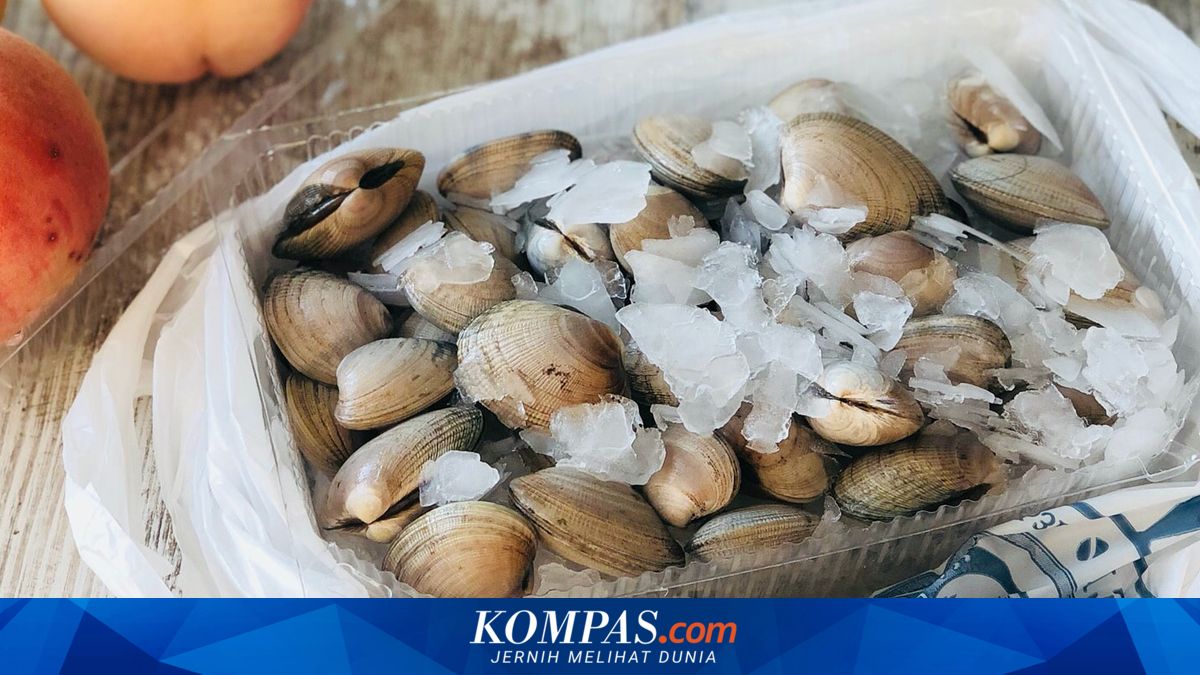 4 Cara Simpan Kerang agar Tahan Lama dan Tidak Cepat Busuk