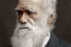 Kontroversi Teori Evolusi yang Buat Darwin Menunggu 20 Tahun untuk Mempublikasikannya
