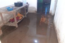 Catat! Ini Layanan Konsultasi dan Aduan Magang Nasional 2025