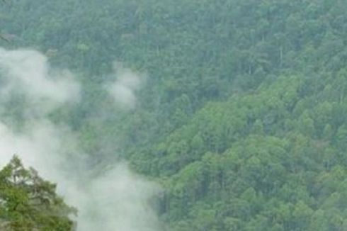 Pengakuan Holdi, TKI yang Selamat Saat Tembus Hutan Perbatasan Malaysia