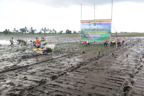 Mentan: Optimasi Lahan Rawa Jadi Jawaban Ketahanan Pangan Indonesia