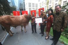 CIMB Niaga Serahkan Hewan Qurban