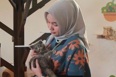 Jember Mini Zoo Buka Wisata Baru untuk Pencinta Kucing