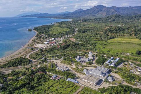 Legenda Timor Leste: Persahabatan Anak Lelaki dan Buaya