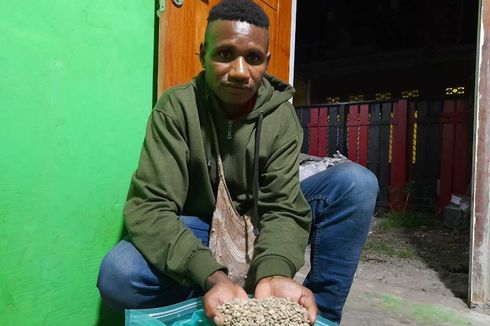 Mengenal Kopi Arabika dari Pegunungan Bintang Papua, Warga Punya Pohon Kopi Masing-masing