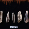 Bone Culture: Pengertian dan Hasil Kebudayaan