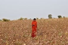 Utang dan Derita Petani India, Bom Waktu yang Siap Meledak