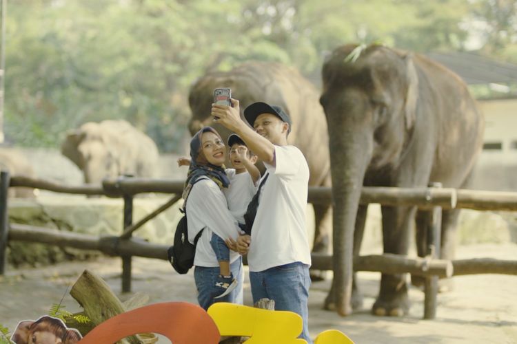 Koleksi satwa di Gembira Loka Zoo, Yogyakarta