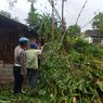 Tebang Bambu, Warga Bantul Tewas Tersengat Listrik