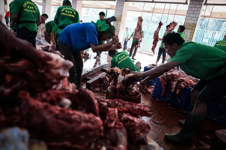 Suasana pemotongan hewan kurban di Masjid Istiqlal, Jakarta Pusat, Minggu (11/8/2019). Menyambut hari raya Idul Adha 1440 H, Sebagian besar umat muslim di Jakarta menggunakan sapi dan domba untuk berkurban.