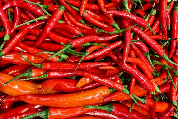 Tak Punya Lahan Berkebun? Tenang, Kamu Bisa Tanam Cabai di Dalam Ruangan