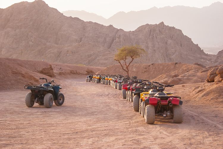 Wisata Gurun di Sharm el-Sheikh