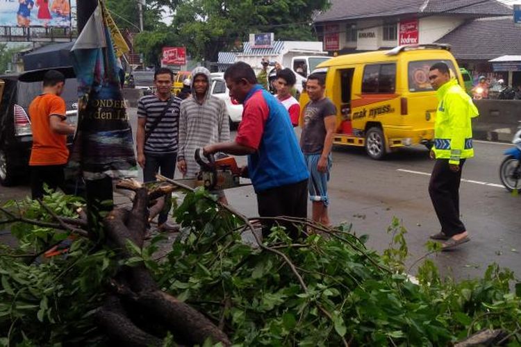 Sebuah pohon peneduh tumbang dan mengenai satu sepeda motor milik pengendara yang sedang berteduh di Jl Jendral Sudirman No.84 Babadan, Ungaran, Kabupaten Semarang, Jumat (18/11/2016) sekitar pukul 15.00.