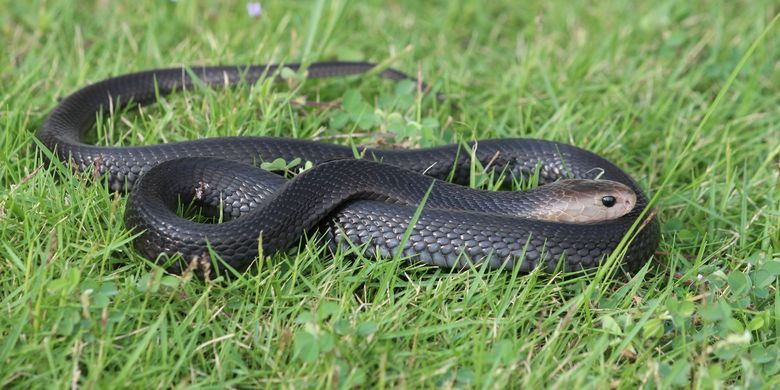 Uy qurilishi masturbator Juda nozik qiz bilan jinsiy aloqa