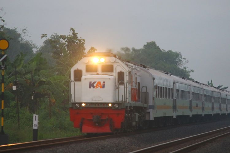 UU Perkeretaapian Digugat ke MK, Minta Anak Usia 0-5 Tahun Digratiskan