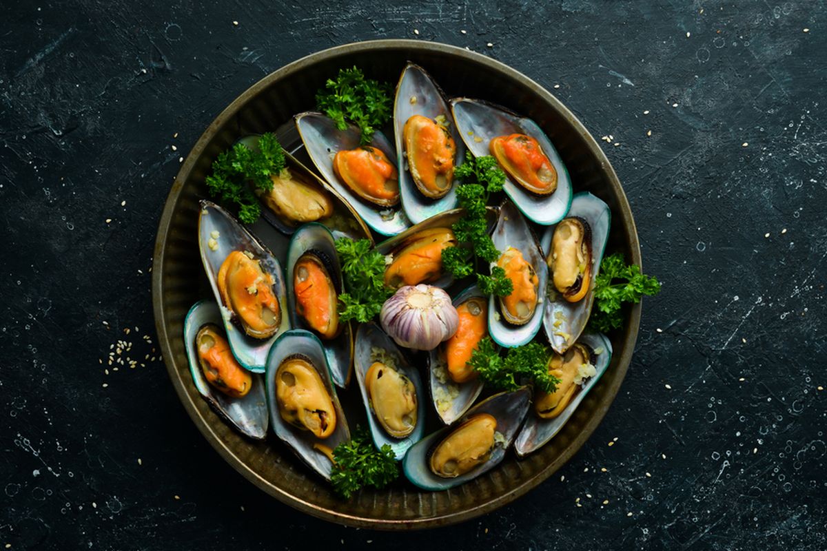 ilustrasi kerang hijau. 