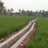 Tanah di Desa Cibodas, Purwakarta, Sering Kehilangan Air, Kementan Laksanakan Program RJIT