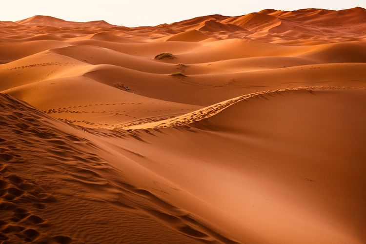 Gundukan pasir di gurun pasir yang terbentuk dari sedimentasi aeolis. Adapun urutan proses sedimentasi adalah pelapukan, erosi, transportasi, dan deposisi.