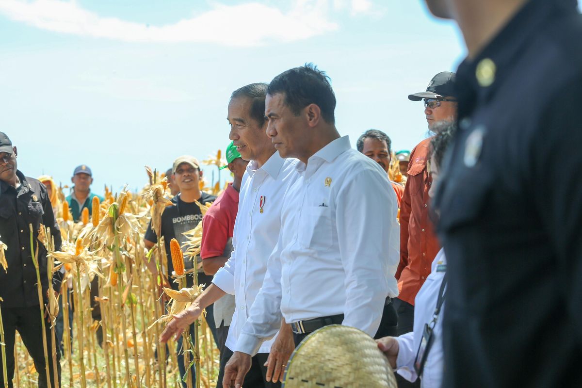 Mentan Amran bersama Presiden Jokowi saat meninjau panen raya jagung di area jagung Kelompok Tani (Poktan) Kedawan, Kabupaten Sumbawa. 
