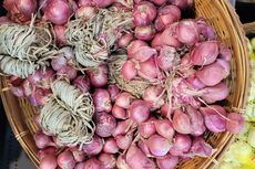 5 Varietas Bawang Merah Unggulan Indonesia, Apa Saja?