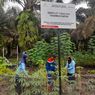 Membasahi Lahan Gambut, Bercocok Tanam hingga Beternak, Cara Suku Anak Dalam Jambi Cegah Kebakaran Berulang 